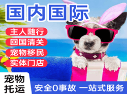永州零陵空运地址国际宠物托运 【国